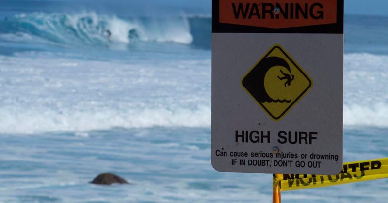 The Ocean is Powerful and Demands Your Full Attention