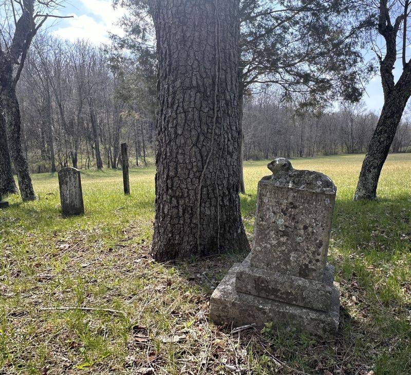 Exploring Rural Family Burial Plots