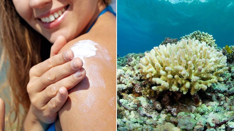 Using Non-Reef Safe Sunscreen
