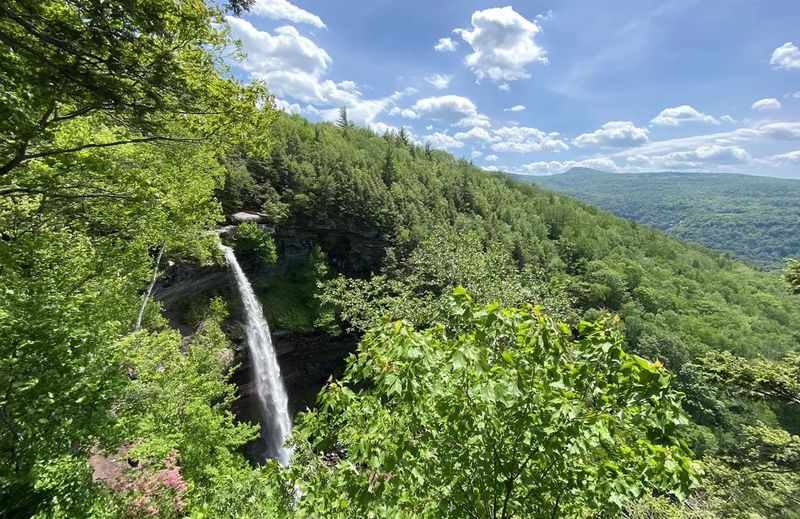 Haines Falls