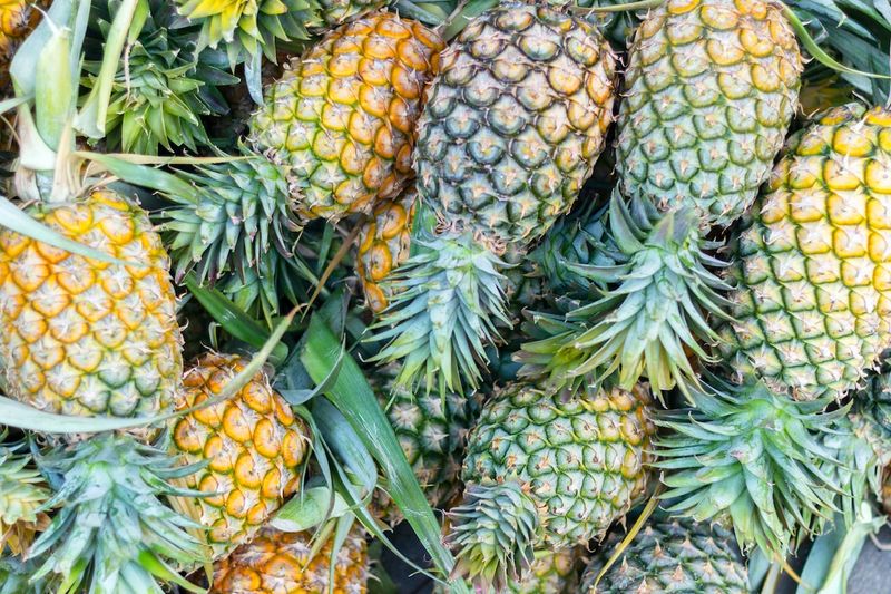 Taking Certain Produce or Plants Out of the State