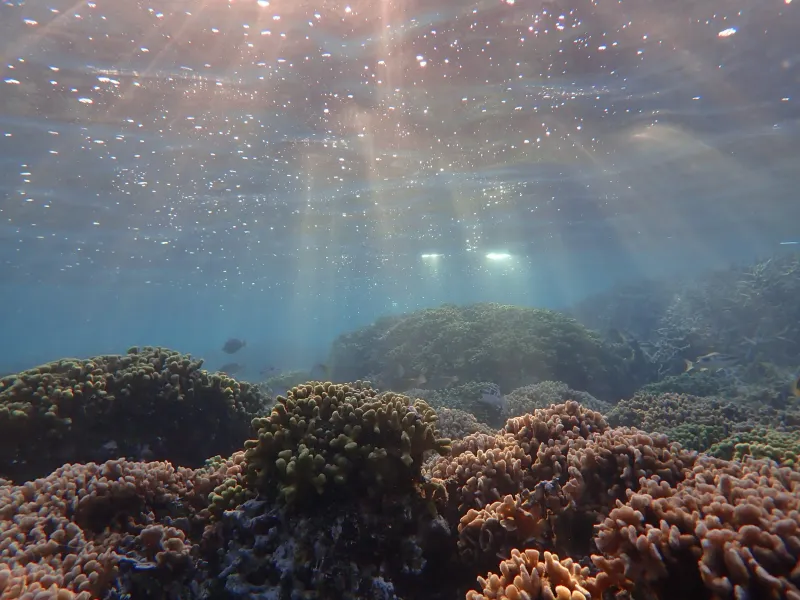 Location-Specific Fines: The Marine Preserve Multiplier