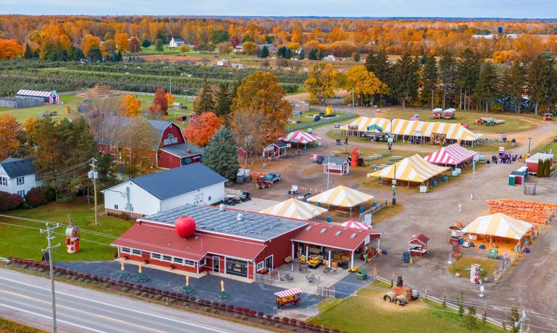 The Orchard That Started It All