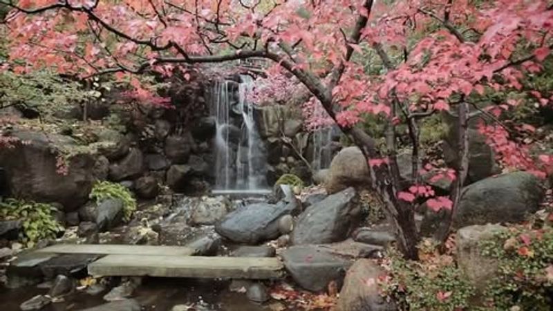 Anderson Japanese Gardens