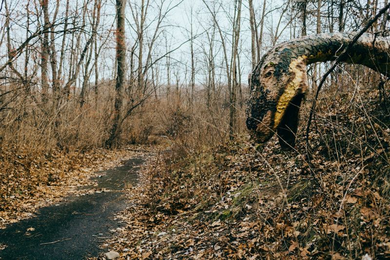 Why Travelers Still Come Searching