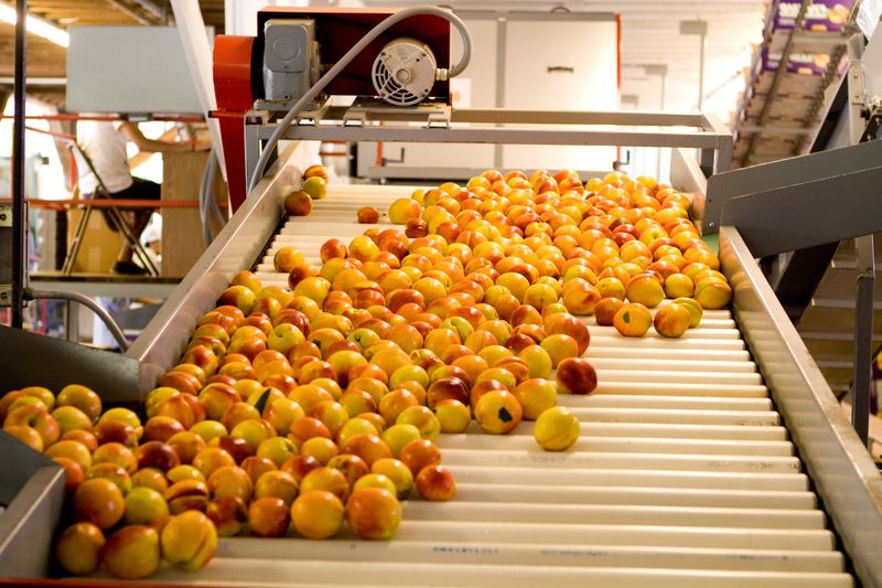 Dickey Farms: Historic Peach Haven