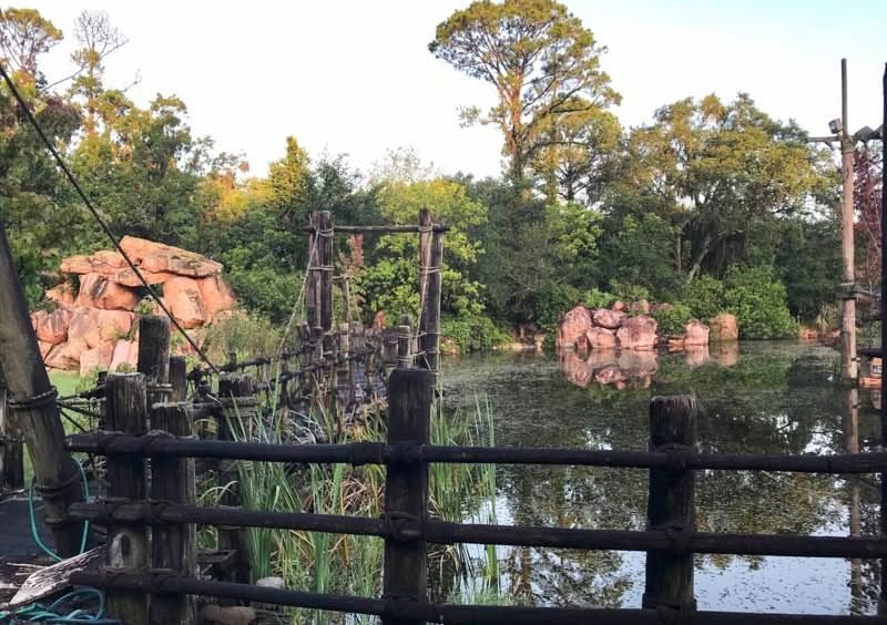 The Magic by the Lake