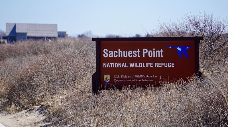 Sachuest Point Area, Middletown