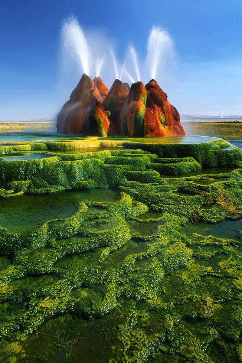 The Mysterious Fly Geyser