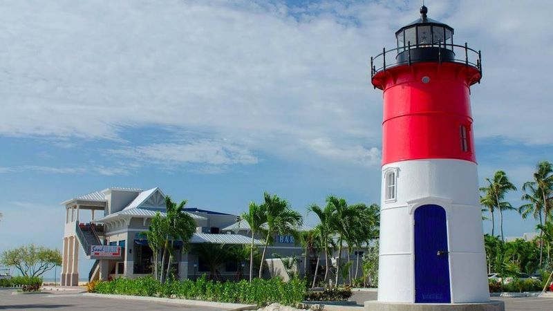 Diverse Selection of Accessible Seafood