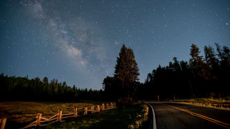 Psychological Terror of Isolation