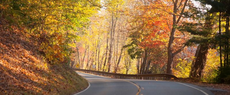 A Connecticut Autumn That Feels Like a Fairytale