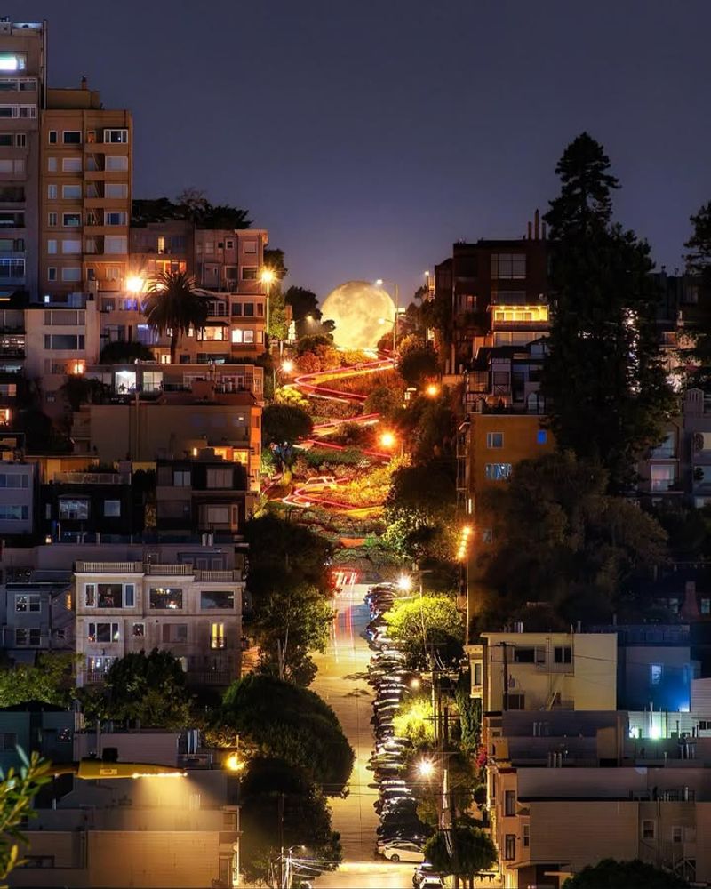 The Street That Twists Through San Francisco’s Shadows