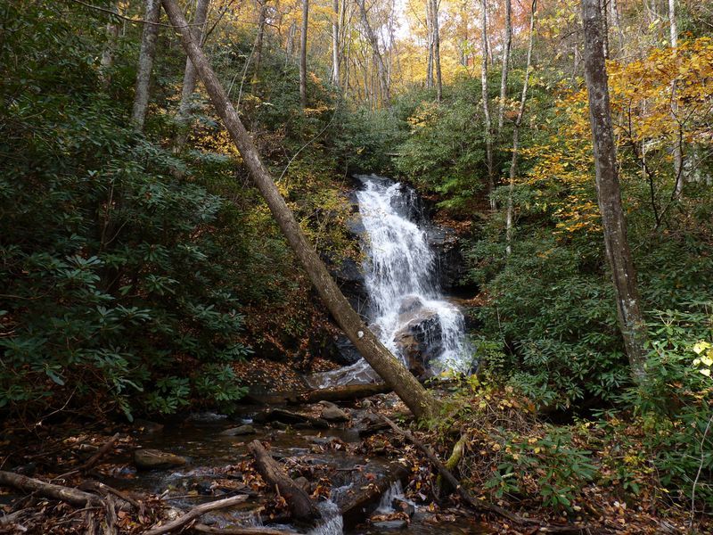 Hidden Waterfalls of Transylvania