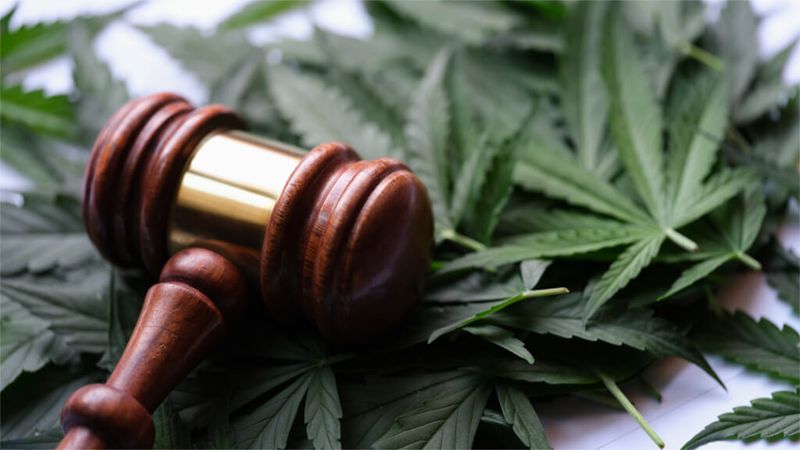The Criminal Record For Misdemeanor Escalation