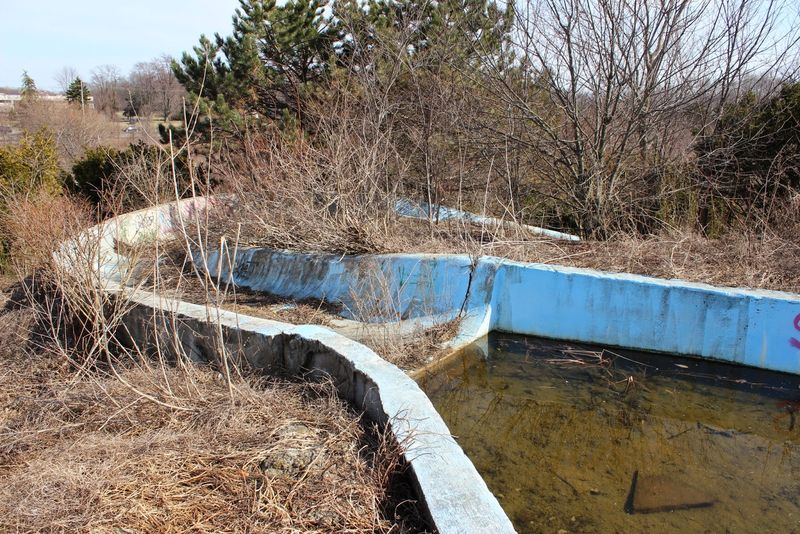 Nature's Aggressive Takeover