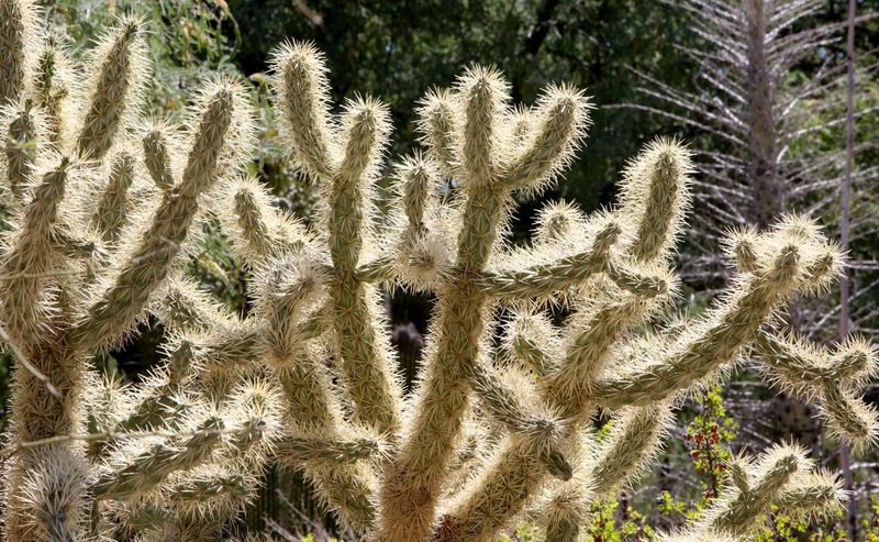 The Spikes Are Intentional and Everywhere