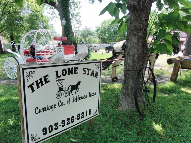 Horse-Drawn Carriage Tour