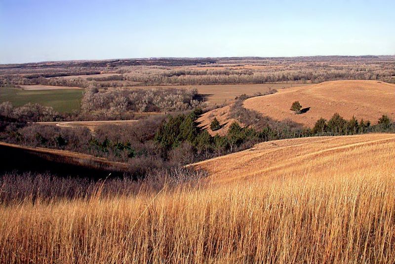 Flint Hills: The Prairie That Time Forgot