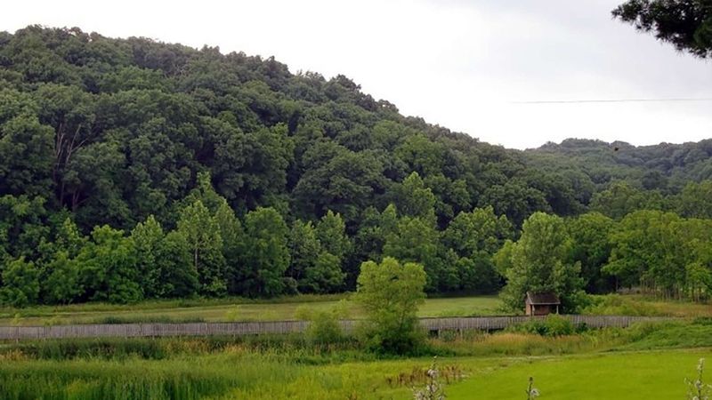 Where the River Slows and So Does Time