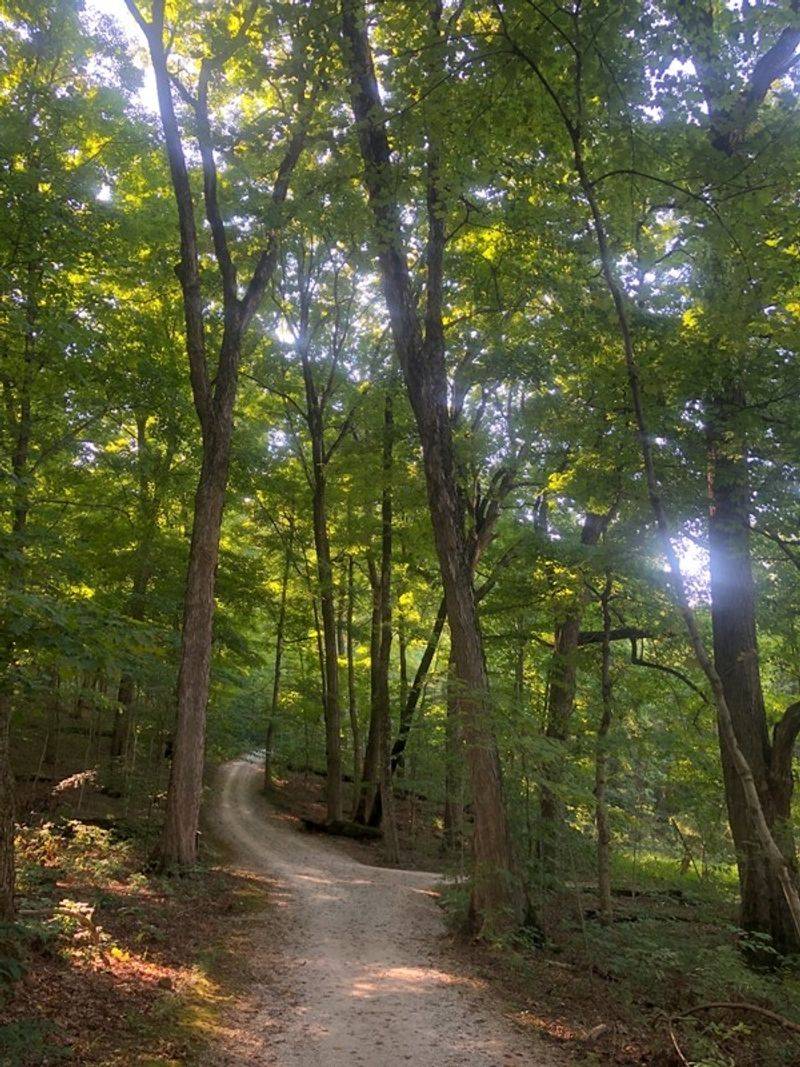 The Mysterious Chestnut Ridge Earthworks Trail
