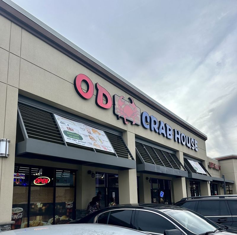 Savannah’s Hidden Shrimp Sanctuary