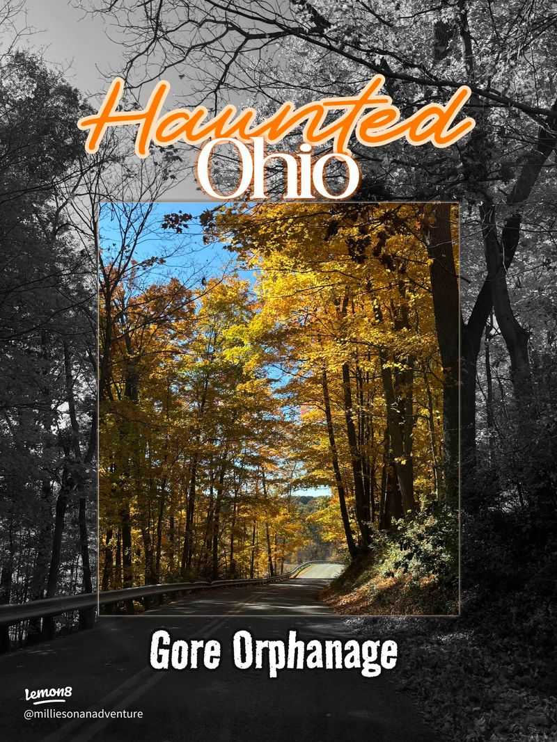 What “Gore” Really Means