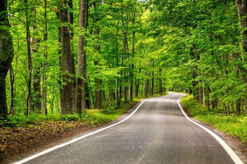 Epic Scenic Drives Through Pure Beauty