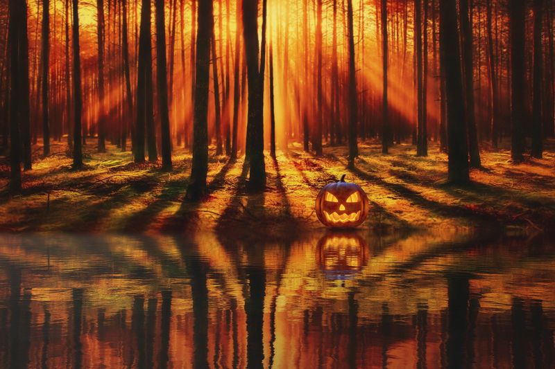 Haunted Hayrides Through Spanish Moss Country