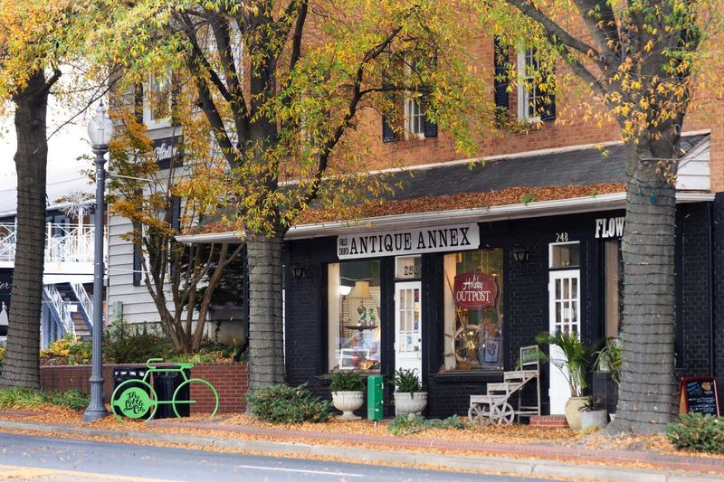 Why Antique Trails Matter More Than You Think