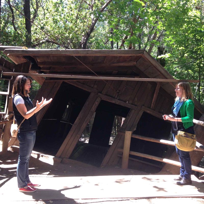Visitor Experiences and Reactions