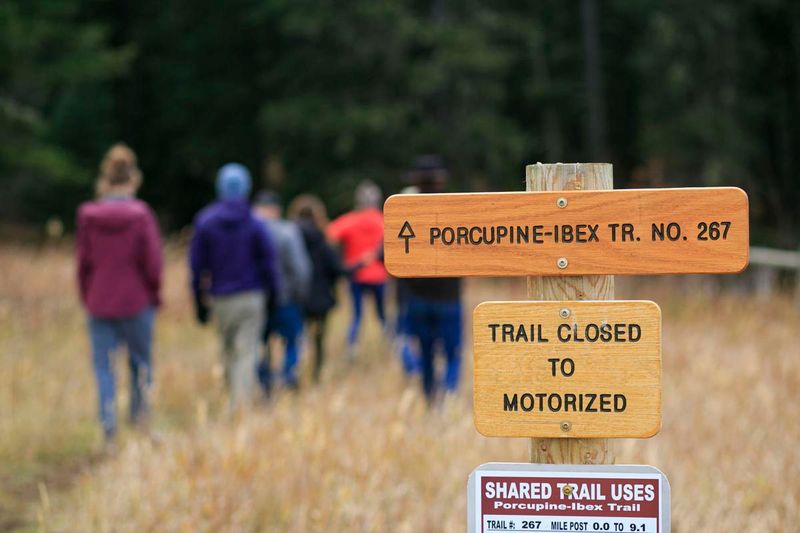 Porcupine Lowline Trail (Crazy Mountains)