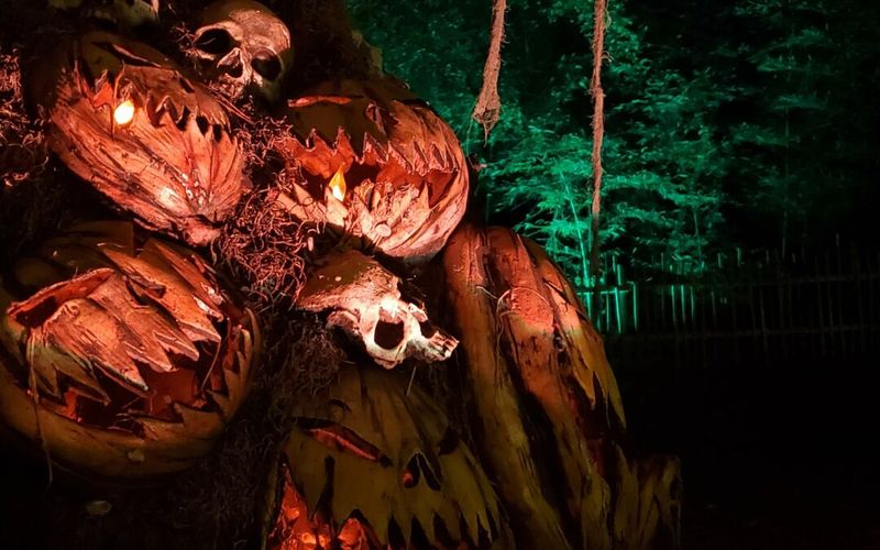 Dark Woods Haunted Attraction (Natchitoches area)
