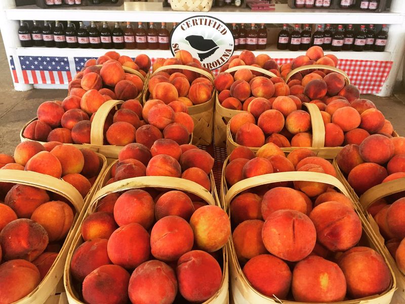 Seasonal Produce That Changes With Every Visit