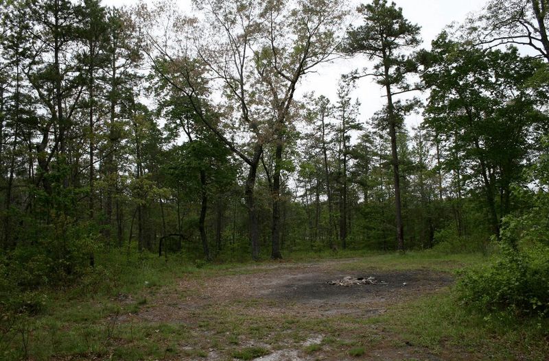 An Ancient Circle Where Nothing Grows