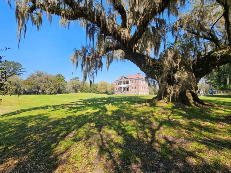 Historic homes and live oaks matter in ways beyond sightseeing