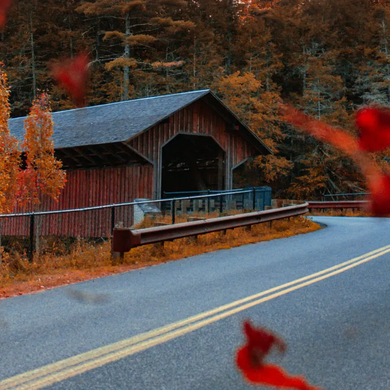 The Bridge That Still Whispers Her Name