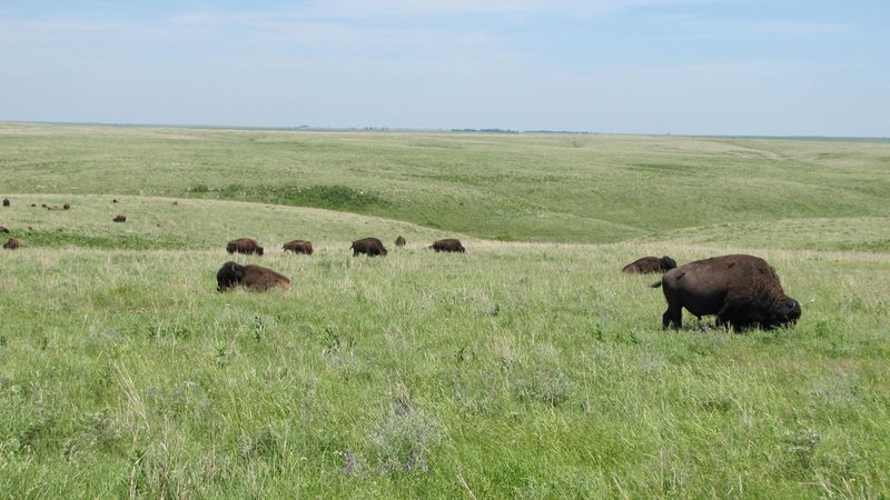 Tallgrass Prairie National Preserve