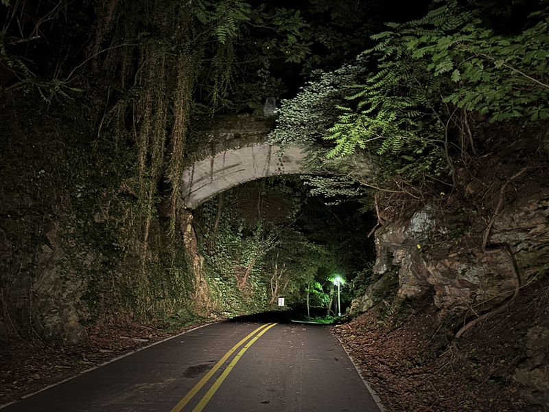 Echoes of Ancient Laughter