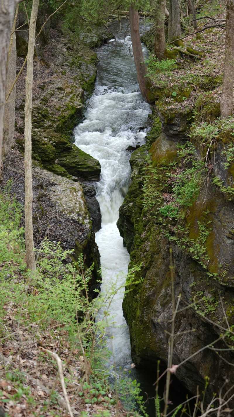 Little Miami's Forgotten Limestone Gorge