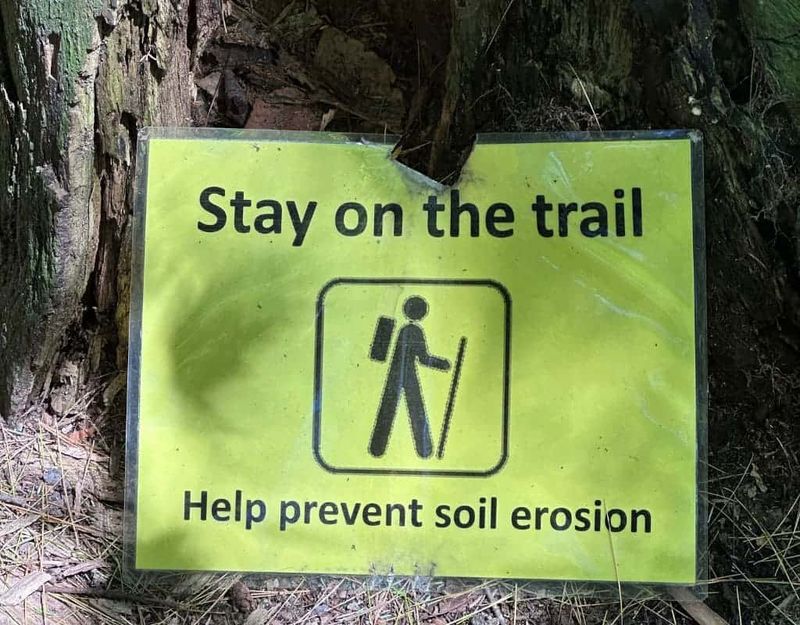 What the “Stay on the Trail” Rule Really Means