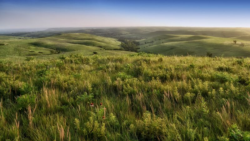 The Flat Myth That Refuses to Die