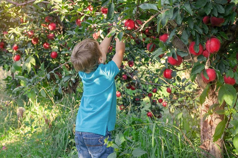 Where Locals Go When the Leaves Start to Turn