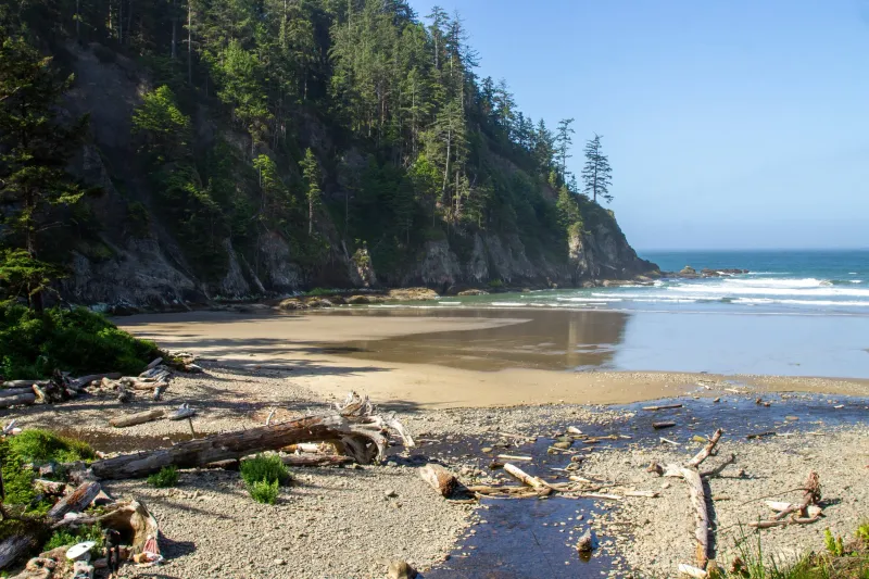 Oswald West State Park (Short Sand Beach)