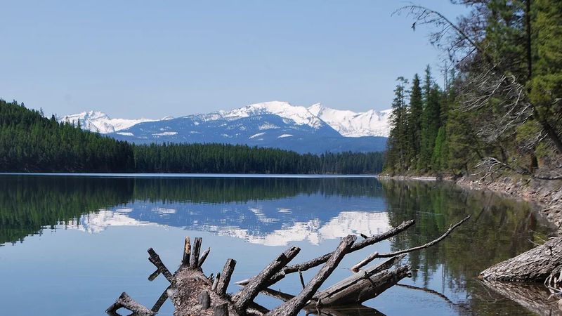 Locals Who Remember the Silence