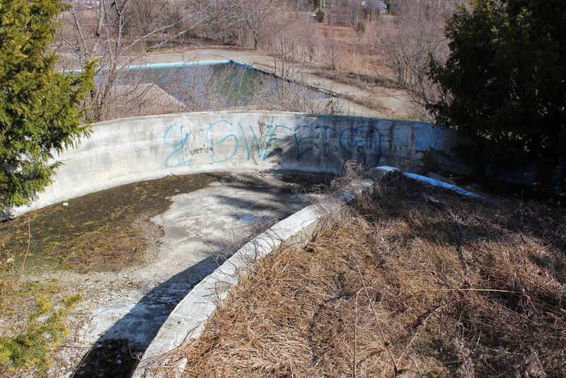 When the Screams Went Silent