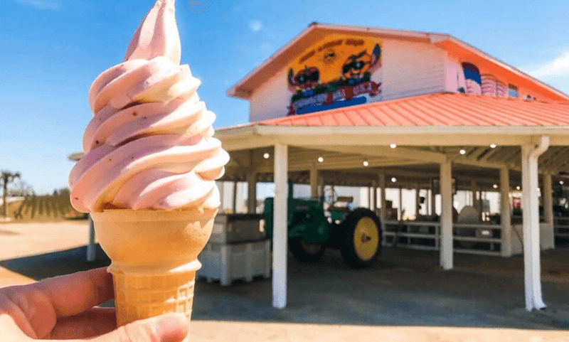 The Legendary Peach Ice Cream That Started It All