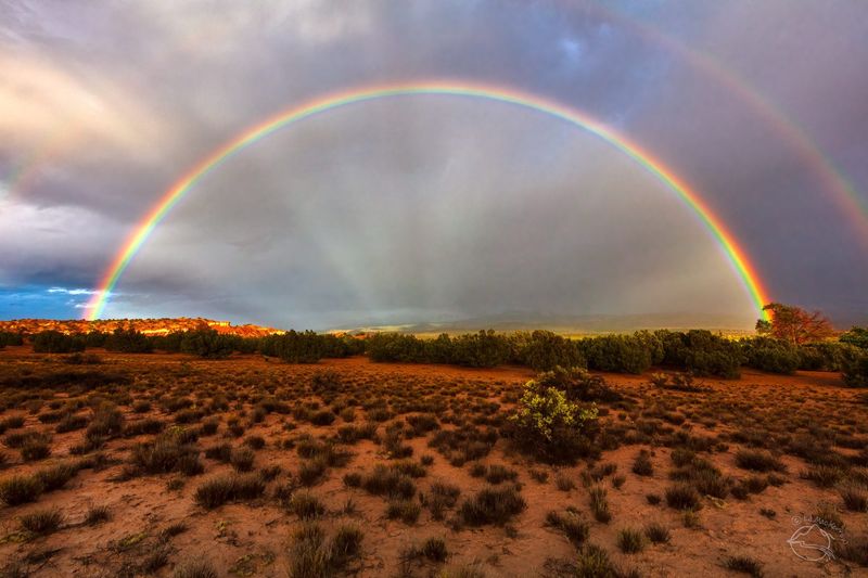 The Viral Afterlife of a Perfect Moment