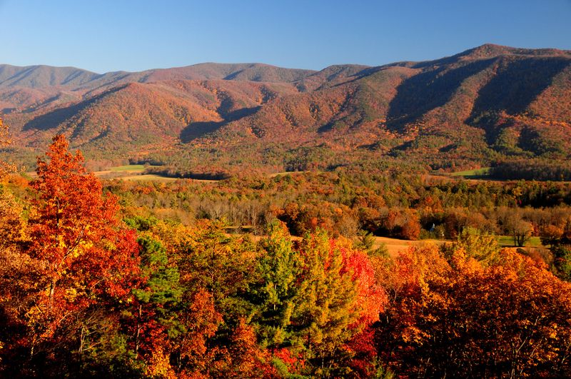 Voices From the Smokies