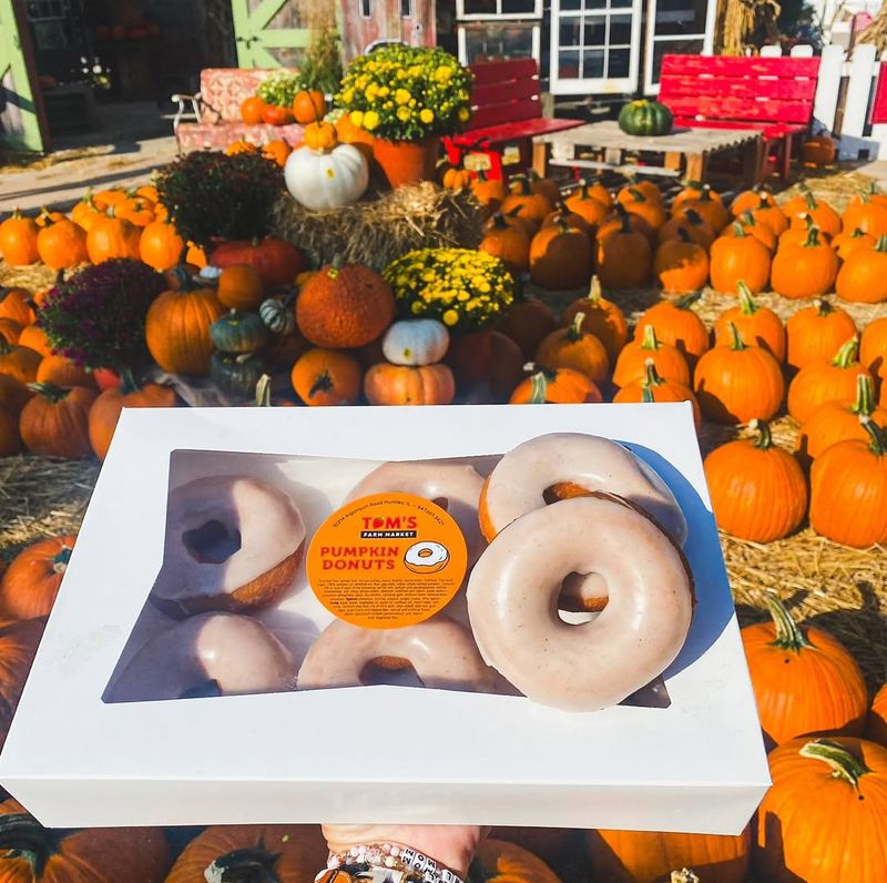 Tom's Farm Market Pumpkin Treats